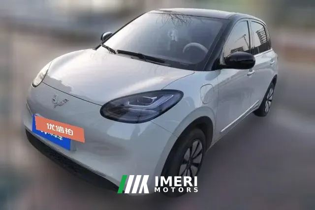 2024 Wuling Motors Wuling Bingo 2024 333km LingxiConnected