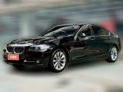 2017 BMW 5 Series 2017 2.0T AT 525LiLeading #1