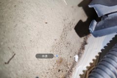 Right Rear Carpet