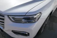 2020 Haval H6 2020 2.0T AT PlatinumChampion #5
