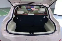 2024 Ora Good Cat 2024 401km Luxury #4