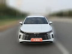 2023 BYD Destroyer 05 2022 DM-i 55KM AT Luxury #2
