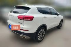 2020 Haval H6 2020 1.5T AT PlatinumChampion #3