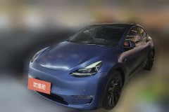 2021 Tesla Model Y 2021Long Rangeall wheel driveEdition 3D7 #1