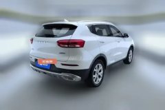 2021 Haval H6 2021 1.5T AT UrbanEdition #3