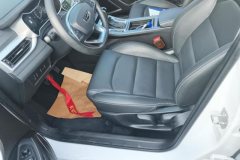 2020 Geely Auto Emgrand Sedan 2020 1.5 AT Luxury #9