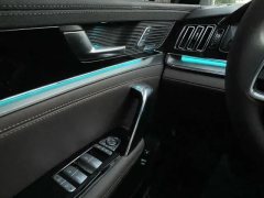 2020 BYD Tang 2021 2.0T ATFlagship #13