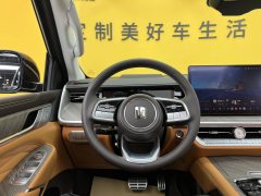 2025 Tank 500 PHEV 2024 Hi4-T 2.0T AT #14