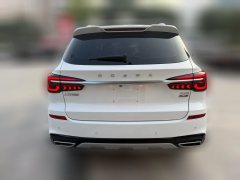2022 Roewe RX5 2020 1.5T PLUS 300TGI ATAliLunar New Year PicksEdition #5
