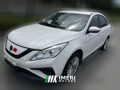 2022 Dongfeng Fengxing Fengxing S50EV 2021 operations