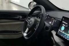 2023 BYD Qin Plus 2021 1.5 AT DM-i 120KM Premium #23
