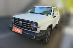 2022 Tank 300 2021 CityEdition 2.0T AT Very #1