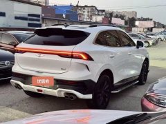 2024 Dongfeng Fengxing Fengxing T5 Evo 2024 1.5TD DCT Storm Platinum Edition #6