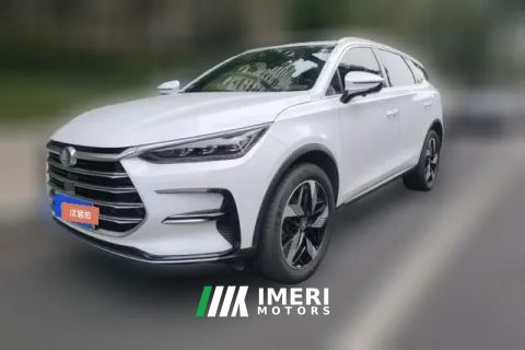 2023 BYD Tang New Energy 2023 1.5T AT DM-i Champion 112KM Honor