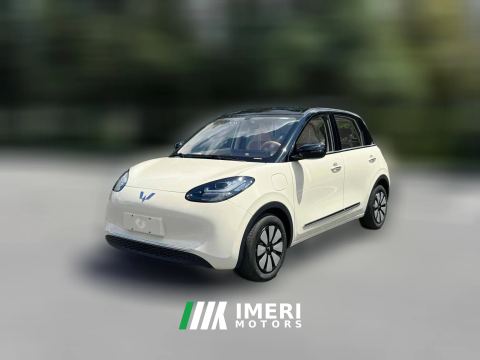 2026 Wuling Motors Wuling Bingo 2025 333km Joy