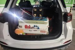 2022 Chery Tiggo 5x 2022 PLUS Kung Fu Panda 1.5T CVT Premium #4