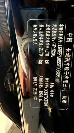 2025 Haval Big Dog Plus 2023 2.0T AT 2WDShionoEditionPlus #11