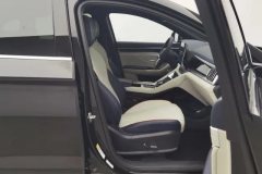 2022 BYD Song Plus PHEV 2021 1.5L AT DM-i 51KM Honor #22