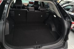 2024 Toyota Wildlander 2023 2.0L AT CVT2WDLuxuryPLUSEdition #4
