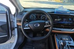 2020 Aion S 2019 Charming630 EV #15