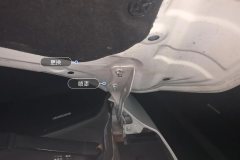 Engine Hood