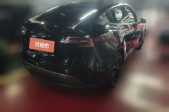 2021 Tesla Model Y 2021StandardBattery lifeRWDEdition #3