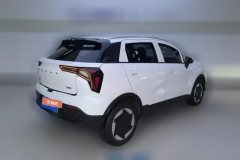 2024 Geometry E Firefly 2024 301km starlight #3