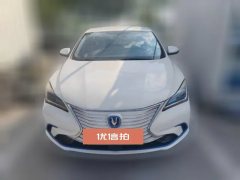 2019 Chang'an Eado EV 2019 EV460 sharedEdition EV #2
