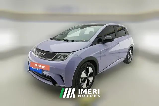 2023 BYD Dolphin 2023 420km Fashion