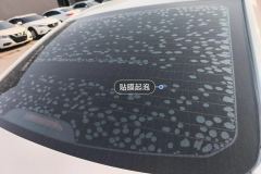 Rear Windshield