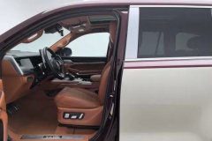 2022 Tank 500 2022 3.0T AT high-endCustom 5Seat #13