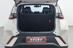 2024 BYD Seagull 2025 305km freeEdition #20