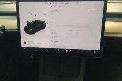 2021 Tesla Model Y 2021StandardBattery lifeRWDEdition #14