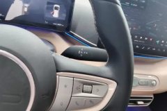 2025 BYD Seagull 2025 Smart Drive 305km freeEdition #16