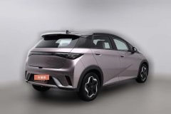 2022 BYD Dolphin 2021 405km Fashion #2