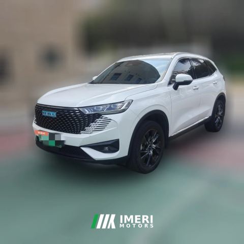 2023 Haval H6 New Energy 2023 1.5T AT DHT-PHEV 110KM YuexingEdition