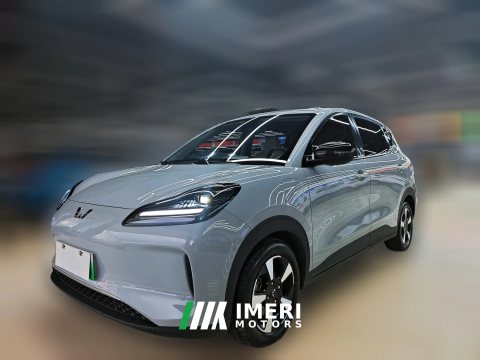 2024 Wuling Motors Wuling Bingo Plus 2024 330km 5SeatEdition