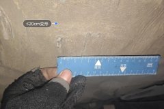 Trunk Floor