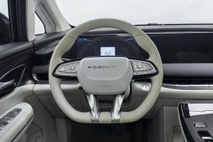 2024 Dongfeng Fengxing Dongfeng Fengxing Xinghai V9 2024 1.5TD 200km middleChina KnotSeries Exclusive #15