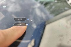 Windshield
