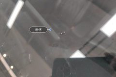 Windshield