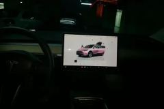 2022 Tesla Model Y 2022 Facelift rear wheel driveEdition #13