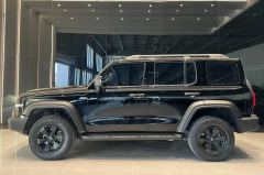 2021 Tank 300 2021 Off-road 2.0TAT conqueror #5