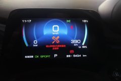 2022 BYD Dolphin 2023 420km Fashion #14