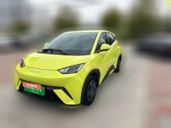 2024 BYD Seagull 2024 Glory 305km vitalityEdition #1