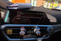 2021 BMW 3 Series 2021 Facelift II 2.0T AT 325Li MM Sport Shadow #13