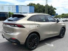 2022 Dongfeng Fengxing Fengxing T5 Evo 2021 1.5TD AT DCTPlatinum #9