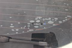 Rear Windshield