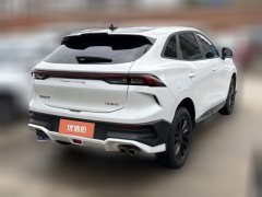 2023 Dongfeng Fengxing Fengxing T5 Evo 2024 1.5TD DCT Storm Platinum Edition #3