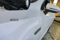 Left Front Fender